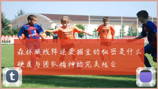 森林狼残阵逆袭掘金的秘密是什么硬度与团队精神的完美结合