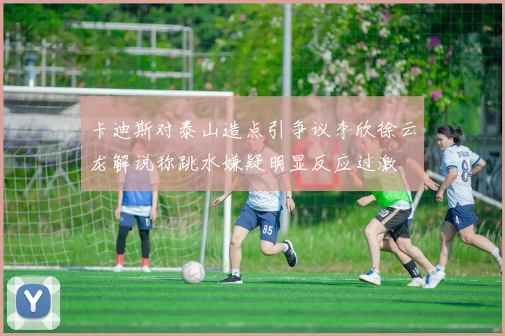卡迪斯对泰山造点引争议李欣徐云龙解说称跳水嫌疑明显反应过激