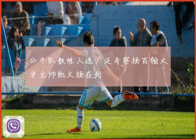 公牛队教练人选广泛考察杨百翰大学主帅凯文杨在列